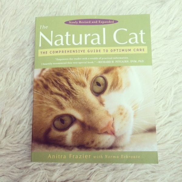 Holistic Medicine For Cats